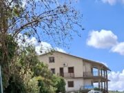 Da bene confiscato alla mafia a rifugio per cani e gatti: San Cataldo inaugura il Micro-Canile e l’Oasi Felina