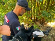 Nascondeva droga e armi tra le piante, il fiuto di “Vera” lo incastra e finisce in cella