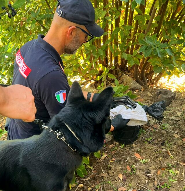 Foto dell'arma rinvenuta